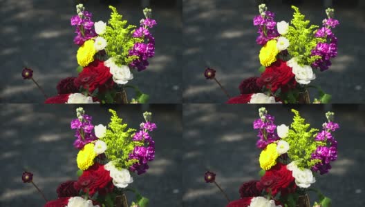 园林花卉植物高清在线视频素材下载