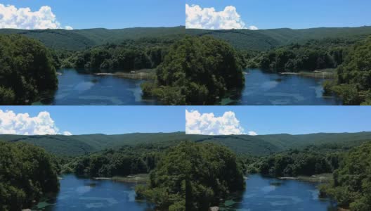 航拍的湖泊和森林高清在线视频素材下载