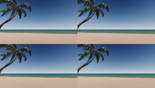 沙滩上有棕榈树和蓝天高清在线视频素材下载