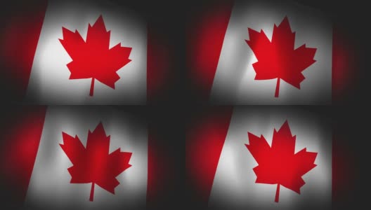 3D动画加拿大国旗特写画布纹理高清在线视频素材下载
