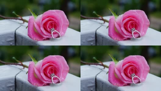 美丽的特写玫瑰和结婚戒指与水滴高清在线视频素材下载