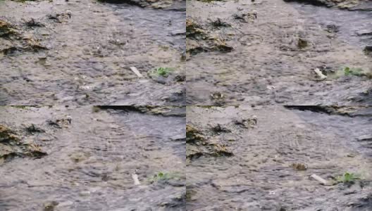 雨落在石头表面高清在线视频素材下载