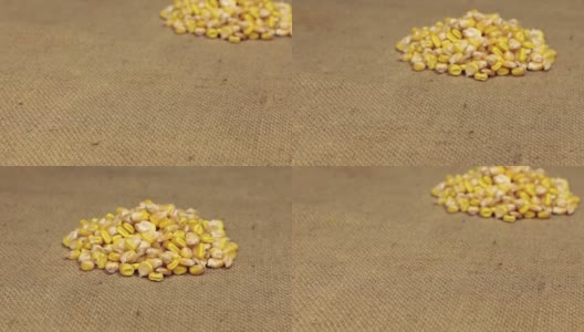 Zoom，走近的是一堆躺在粗麻布上的玉米。特写镜头高清在线视频素材下载