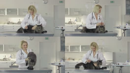兽医正在注射疫苗高清在线视频素材下载