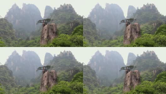 黄山的岩石，黄山，中国高清在线视频素材下载