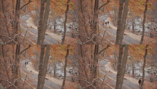 漫步者，骑自行车者和跑步者在海滩驱动器-岩石溪公园-华盛顿特区-秋天高清在线视频素材下载