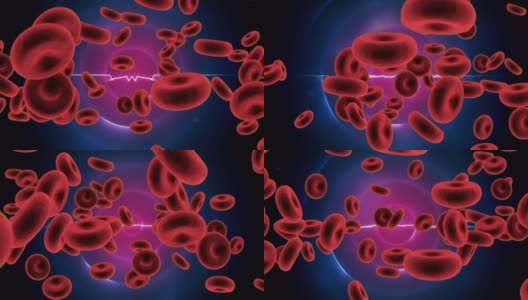 血细胞在紫色圆圈上的动画高清在线视频素材下载