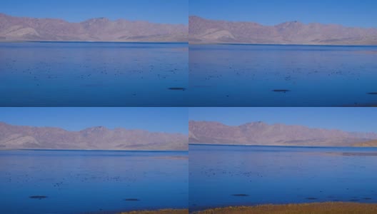 西藏阿里地区的湖泊高清在线视频素材下载