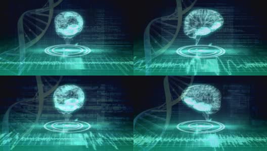 数字大脑和DNA螺旋旋转高清在线视频素材下载