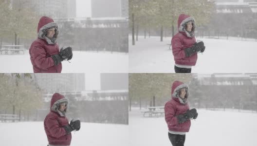 一个欧亚女人在下雪的冬天穿过公园高清在线视频素材下载