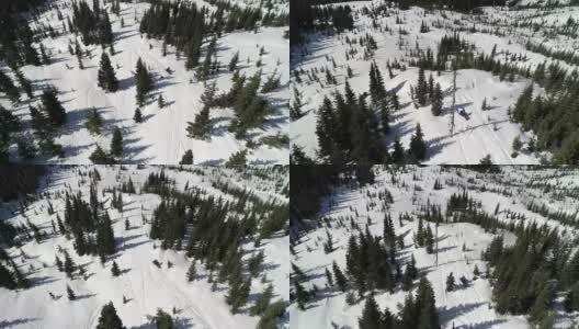 山地森林雪地摩托探险高清在线视频素材下载