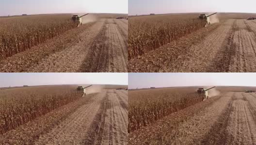 联合收割机在玉米田作业的航拍镜头。收获的玉米。高清在线视频素材下载