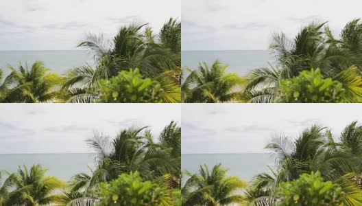 有棕榈树的热带海滩高清在线视频素材下载