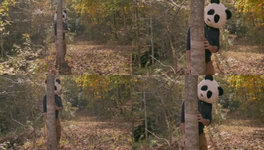 戴着熊猫头面具的男子从公园或森林的一棵树后面探出头来高清在线视频素材下载