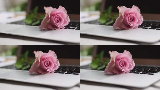 浪漫的粉色玫瑰在笔记本键盘上高清在线视频素材下载