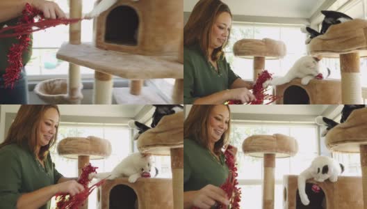 成年女性千禧和顽皮的宠物猫在圣诞假期季节高清在线视频素材下载