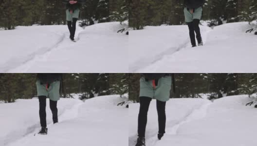 徒步旅行者在森林里的雪地里行走高清在线视频素材下载
