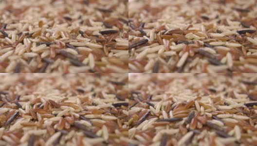 生大米混合。印度香米积分，红色和野生高清在线视频素材下载