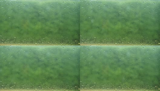 雨季玻璃上的水滴特写，散焦的雨水落在绿色的自然背景上高清在线视频素材下载