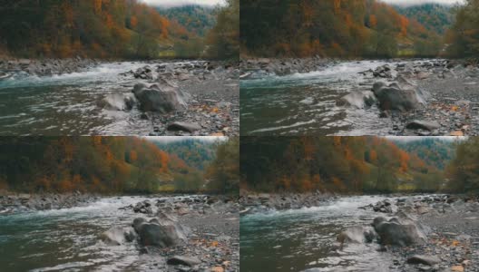 湍急、寒冷的Cheremosh山溪在喀尔巴阡山脉岩石海岸的背景上。Dzembronya山村初秋雾蒙蒙的早晨高清在线视频素材下载