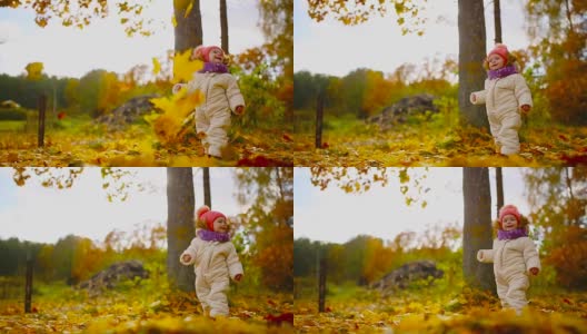 小女孩穿着秋衣，戴着温暖的帽子和围巾，站在公园里看着黄叶从树上飘落。把叶子从树上分离出来高清在线视频素材下载
