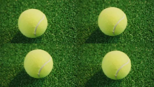 特写网球在草地上4k高清在线视频素材下载