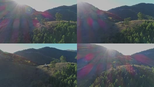 飞过高山和森林高清在线视频素材下载