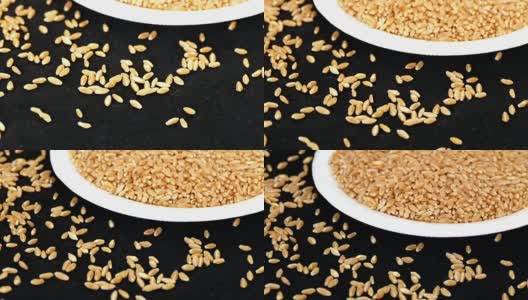 用来做面粉的优质小麦高清在线视频素材下载