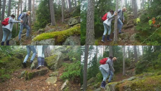 一对活跃的老年夫妇在北部森林的岩石上攀岩高清在线视频素材下载