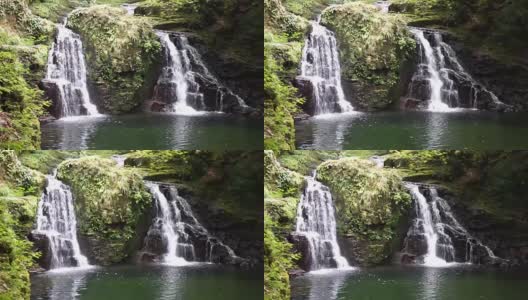 日本森林中的小溪高清在线视频素材下载