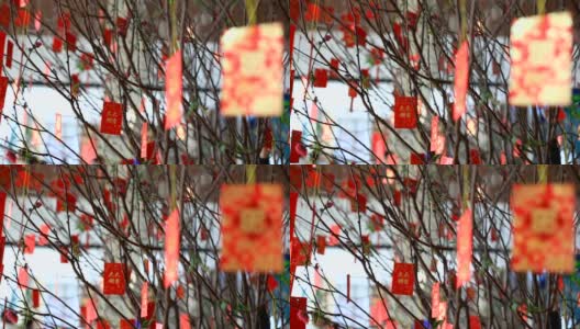 春节时，红包挂在树上高清在线视频素材下载
