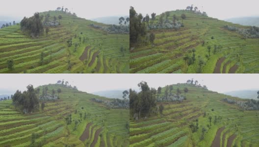 梯田农业在中非国家，卢旺达高清在线视频素材下载