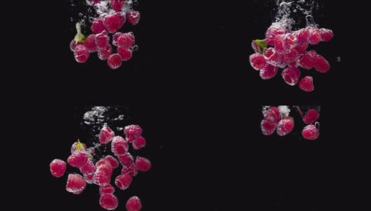 黑背景下树莓落水超级慢动作1000帧/秒高清在线视频素材下载
