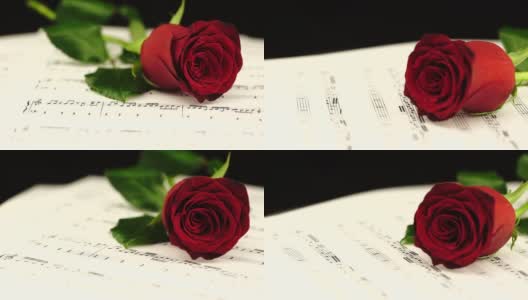乐谱上的玫瑰高清在线视频素材下载