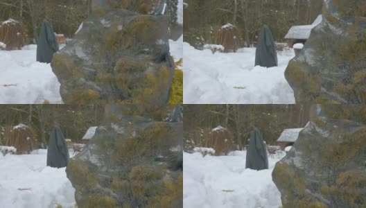 爱沙尼亚的森林里覆盖着厚厚的积雪高清在线视频素材下载