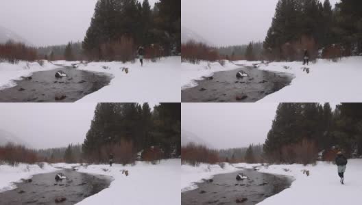 科罗拉多荒野暴风雪中的美丽河流高清在线视频素材下载