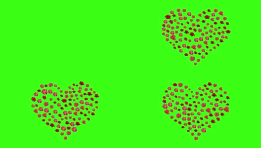 动画一颗心的剪影，收集了各种玫瑰花在绿色的背景。婚礼，情人节，母亲节，家庭日，生日的祝贺模板。高清在线视频素材下载