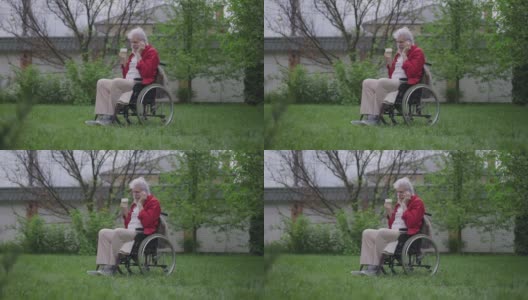 正英俊的残疾老人坐在轮椅上，在后院的花园里喝着咖啡打电话。白种人退休老人享受早晨的广角照片。高清在线视频素材下载