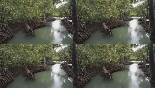 小溪流水在绿色的森林里高清在线视频素材下载