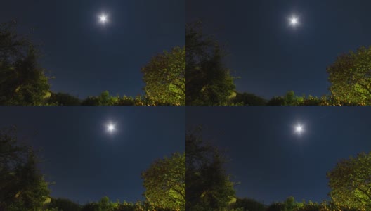 夜晚的时间间隔与花园中的月亮和星星高清在线视频素材下载
