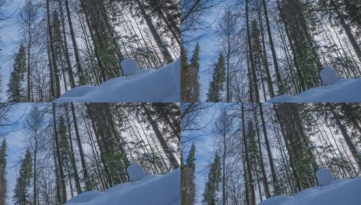 冬季森林延时。自底向上的视图。阳光和天空。高清在线视频素材下载