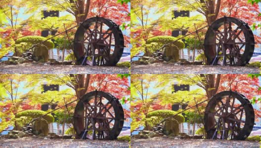 秋叶和水轮的意象高清在线视频素材下载