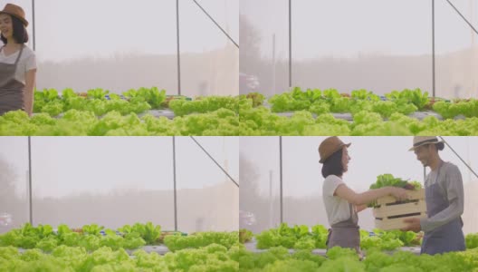 两个亚洲夫妇农民在蔬菜水培农场工作幸福。女人提着一盒新鲜蔬菜沙拉递给男人，然后走着把它储存在温室农场里。高清在线视频素材下载