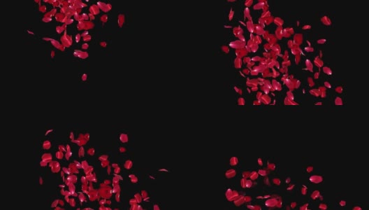 玫瑰花瓣背景，可循环，系列高清在线视频素材下载