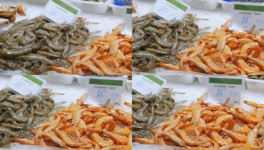 海鲜市场上的冰拉博克里亚在巴塞罗那，西班牙关闭。西班牙巴塞罗纳的博克利亚冰鱼市场上的海鲜螃蟹龙虾鱿鱼虾小龙虾牡蛎贻贝贝壳高清在线视频素材下载