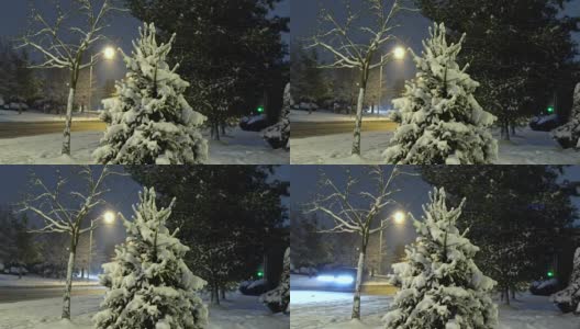 雪城公园在灯光下的灯笼在晚上。白雪覆盖的树木和长椅，美丽的冬夜公园的小径。冬天的风景高清在线视频素材下载