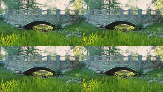 在一个晴朗的夏日，公园里的石桥在一条干涸的小溪上高清在线视频素材下载