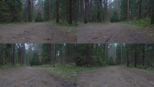 森林里的踪迹录像高清在线视频素材下载