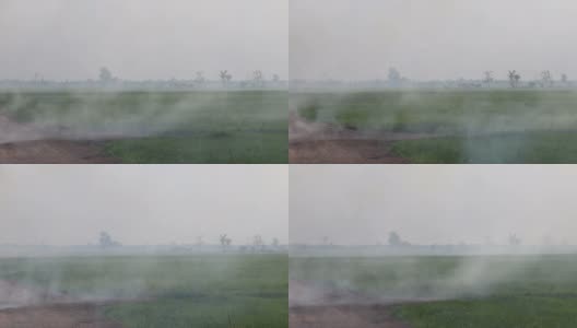 稻田燃烧产生的烟雾造成污染。高清在线视频素材下载