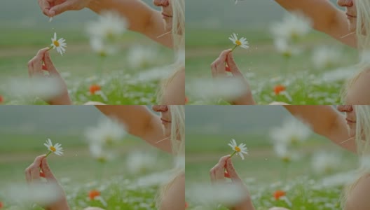 时间扭曲效果超级慢动作女人采摘湿漉漉的新鲜雏菊花瓣高清在线视频素材下载
